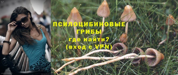 стаф Балабаново