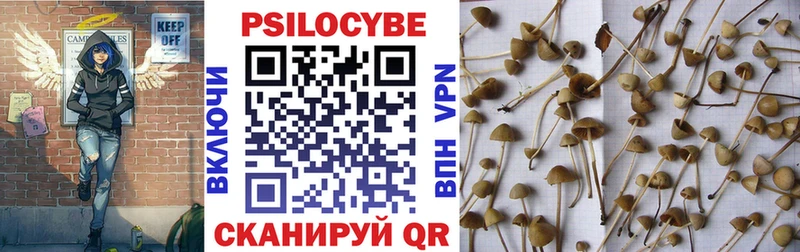 Галлюциногенные грибы Magic Shrooms Тюкалинск
